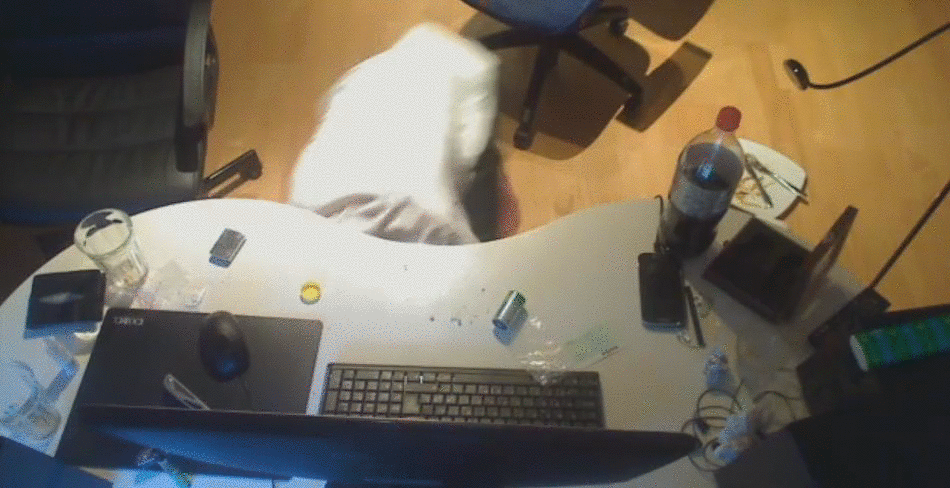 53e27c23b199d5e0c31d871787c65009.gif