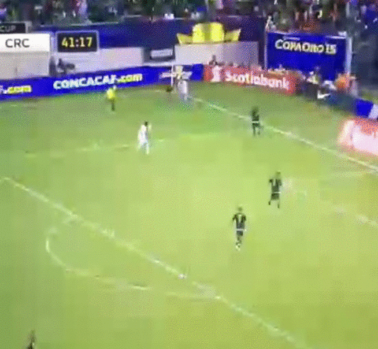 b56673456d3514a73ee78c77e2828e42.gif
